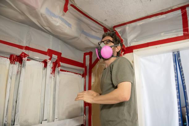 Best Commercial Mold Inspection  in Ogden, UT