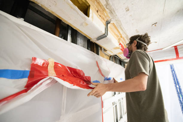Best Emergency Mold Remediation  in Ogden, UT